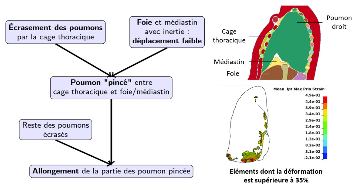 [Cycle spécial : Poursuite en thèse] Ariane MARTIN, 08/06/2023